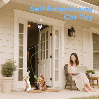 Hanging Motorized Cat Teaser