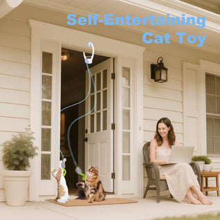 Hanging Motorized Cat Teaser