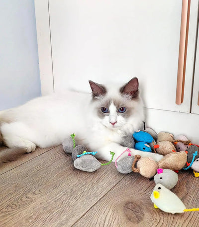 Assorted Catnip Mice
