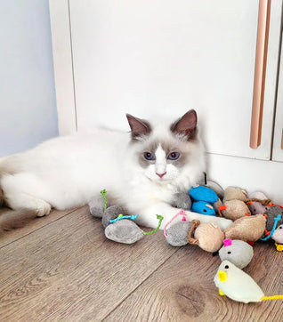 Assorted Catnip Mice